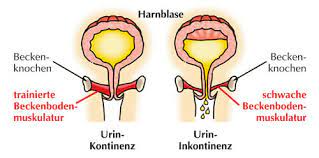 Beckenboden Was Tun Bei Inkontinenz Ergobaby