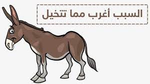 لماذا البغلة لا تلد أبدا سبحان الله movie posters movies poster