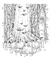 Apakah pengajaran yang diperoleh nebukadnezar? Forest Face Sketching By Ghafar Bahari Gopa Malaysia Steemit