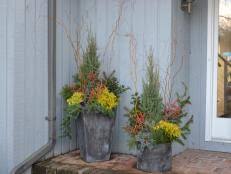 Plant your juniper skyrocket in a location that receives partial sun, full sun if possible, to promote faster growth. How To Plant Evergreens In Containers Hgtv