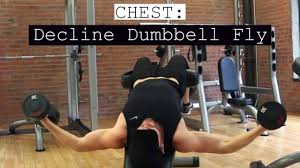 Decline Dumbbell Fly
