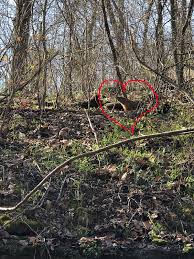 From highway 71, you'll head west on 340 to a sign for the lake windsor dam. Tanyard Creek Nature Trail In Bella Vista Arkansas Rocky Mountain Tot