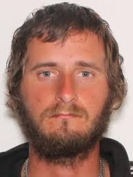 Sex Offenders near Dan Mccarty Middle School