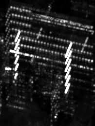An unbiased detector of curvilinear structures; 2