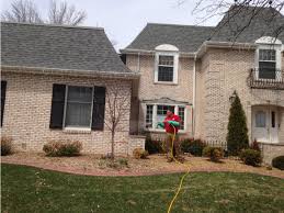 For more information on how to become an isa certified. Tree Health Madison S 1 Tree Service Co