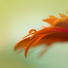 Mar 29, 2021 · if you'd like to use one of windows 10's stock wallpapers, head to the following folder using file explorer: Download Samsung Galaxy S3 Wallpaper Sammobile