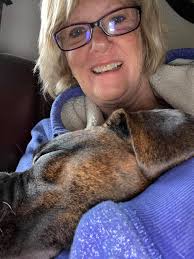 This little love bug #sookietheboxer