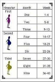 If you're 36 weeks pregnant, you're in month 9 of your pregnancy. Pin On Baby Boy Hilliard