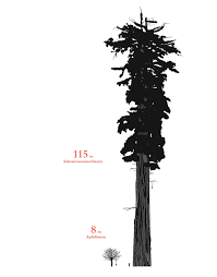 How do you treat the word size (or is it sized?) when it's used in combination with other words as an adjective? Size Matters Hier Kommt Es Eben Doch Auf Die Grosse An Stern De