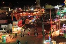 Wagga Wagga Show