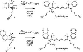 Camel iggs are currently classified into three structurally different isotypes: Membright A Family Of Fluorescent Membrane Probes For Advanced Cellular Imaging And Neuroscience Sciencedirect