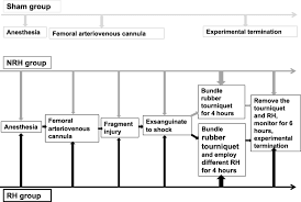 A tourniquet can be left on for up to 4 hours before risking permanent damage, if removed in a hospital setting. Regional Hypothermia Attenuates Secondary Injury Caused By Time Out Application Of Tourniquets Following Limb Fragments Injury Combined With Hemorrhagic Shock Scandinavian Journal Of Trauma Resuscitation And Emergency Medicine Full Text