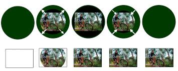 Leaf shutter