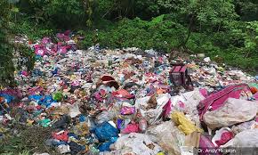 Edited with adobe premiere pro cc music : Malaysiakini Foodpanda Akan Lawat Hutan Didakwa Banyak Sampah Syarikat Itu