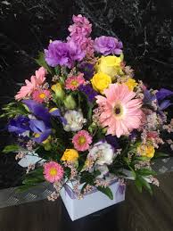 We did not find results for: Seasonal Flowers Mason Jar Florists Choice Mixed Colours M S Enchanted Flowers