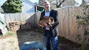 It's a grassroots and entirely nonprofit movement of people who are giving (and getting) stuff for free in their own towns and neighborhoods. We Ve Got Wood Free Firewood For Needy Scheme Is Approved Central Western Daily Orange Nsw