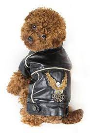 Black Eagle Faux Leather Pet Dog Biker Jacket Dog Biker Jacket Dog Wear Dog Clothes