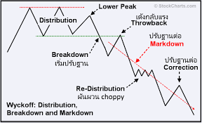 โครงสร างตลาดปร บฐาน anatomy of market correction
