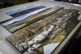 30 Off Gatorboard Art Prints Sale Definition Art Art Prints