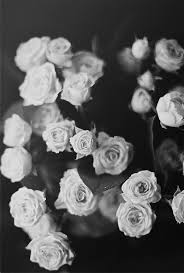 Pin By Talia On Phone Backgrounds Black And White Roses Flowers Black And White Wallpaper Iphone