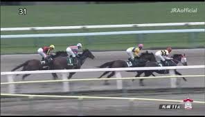 Maybe you would like to learn more about one of these? ã‚¨ãƒ«ãƒ ã‚¹ãƒ†ãƒ¼ã‚¯ã‚¹2019å›žé¡§ ç«¶é¦¬ãƒã‚§ãƒƒã‚¯ äº¬ä»‹ ã‚°ãƒªã‚°ãƒªã®é‡è³žå›žé¡§ æ–°æ„Ÿè¦šã®ç«¶é¦¬æ–°èž ç«¶é¦¬äºˆæƒ³ ç«¶é¦¬ãƒã‚§ãƒƒã‚¯ ã®ãƒ–ãƒ­ã‚°