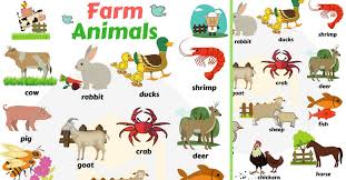 Naming of the species of living things is done by a formal system known as binomial nomenclature. Farm Animals List Domestic Animals Names With Pictures 7esl