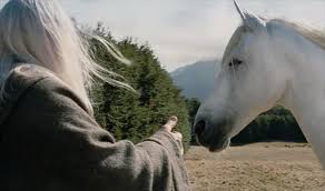He was the grey/white horse given to legolas by the riders of rohan in the two towers.arod originally belonged to a rider of rohan, but his master was slain in a battle with orcs near fangorn forest on the night of february 28, 3019. Lord Of All Horses Shadowfax From The Lord Of The Rings Dies