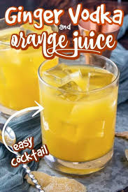Ginger Vodka And Orange Juice Cocktail In 2020 Orange Juice Cocktails Refreshing Cocktail Recipe Simple Syrup Cocktails