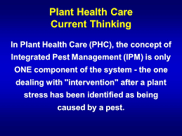 Philosophy of integrated pest management. Pest Management Concepts For Urban Ornamentals Turf Ppt Video Online Download