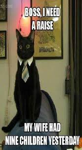 Cat avatar suit for every character to describe the moment. Funny Cat Memes Clean For Kids