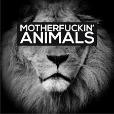 Animals Martin Garrix Martin Garrix Like Animals Animals