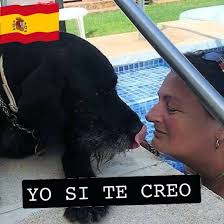 Für Hajo Schäfer heißt es nach jahrzehntelangem Schippern auf der Route  Kaiserswerth–Meerbusch Abschied nehmen. 👋🛳️