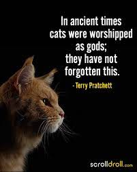 20 Cat Quotes That Perfectly Describe Our Feline Friends