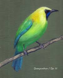My love from the star don't wanna get hurt? How To Use Soft Pastels Chalk Pastels On Canvas How Do I Preserve The Resultant Painting Quora