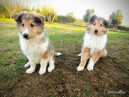 Hector Briz, autor en Brizantinos