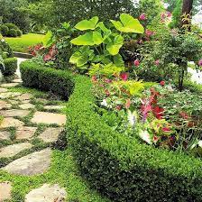These gardens typically need fertilizer and heavy mulching. Guide To Growing Tropical Plants Tropical Plants Small Tropical Gardens Tropical Landscaping
