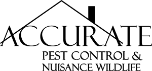 Utica, ny · marcy, ny. Accurate Pest Control Pest Control Mold Remediation Schenectady New York