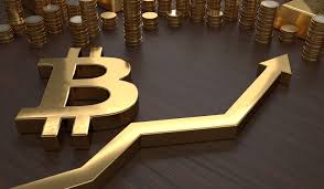 When each bitcoin was worth $12 in 2011, erik fineman borrowed $1000 from his grandmother and with the help of his brother at just the age of 11, he invested in bitcoin, at the end of 2013 when the value of bitcoin became $1200, he made a fortune. Will Poor Countries Become Rich With Bitcoin Cryptocoin Spy