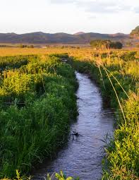 2021 Annual Report by Water Education Colorado - Issuu