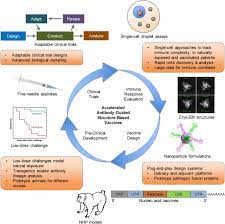 Maybe you would like to learn more about one of these? Antibody Guided Structure Based Vaccines Sciencedirect