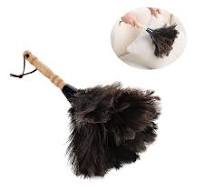 Amazon.com: Roexboz Feather Duster Washable Soft Duster Antistatic Animal  Feather Brush Natural Ostrich Feathers with Long Wooden Handle Feather ...