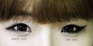 Check spelling or type a new query. Tutorial Cara Memakai Eyeliner Gaya Puppy Eyes Dan Cat Eyes Merdeka Com