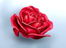 How To Shade Easily With Layer Blend Modes How To Shade Digital Painting Flowers