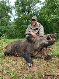 Where can i hunt hogs for free in florida? Wild Hog Hunts Hunt Mill Hollow Ranch
