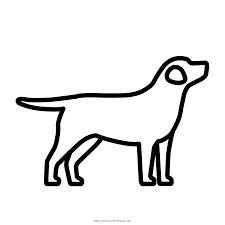 Click suggie's page to see some dock diving by suggie. Labrador Coloring Page Ultra Coloring Pages