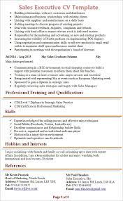 Different templates for different jobs. Sales Executive Cv Template Tips And Download Cv Plaza Good Cv Free Resume Template Word Cv Examples