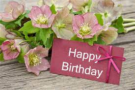 We did not find results for: Thank You Messages For Birthday Flowers Thank You