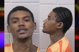 Levi Woods: https://thegeorgiagazette.com/paulding/levi-woods-5/