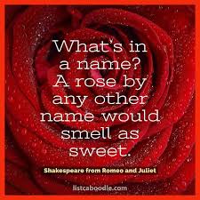 Famous quotations from shakespeare's plays, from your trusted shakespeare source. Famous Shakespeare Quotes Love Life Inspirational Listcaboodle