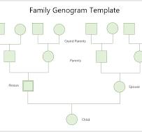 40 Free Genogram Templates - My Word Templates